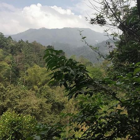 Moselberg Riverside Cottages Munnar Værelse billede