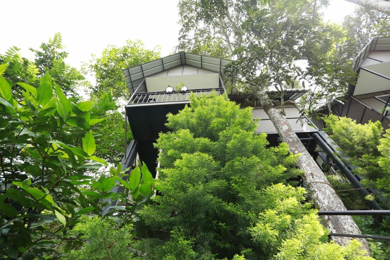 Moselberg Riverside Cottages Munnar Eksteriør billede