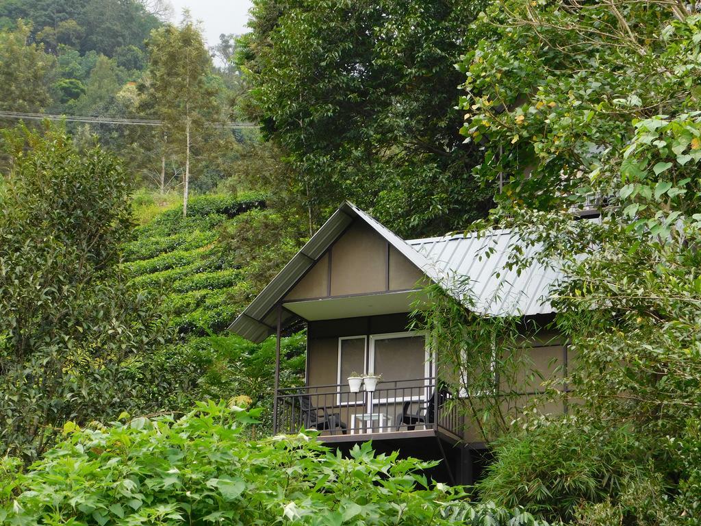 Moselberg Riverside Cottages Munnar Eksteriør billede