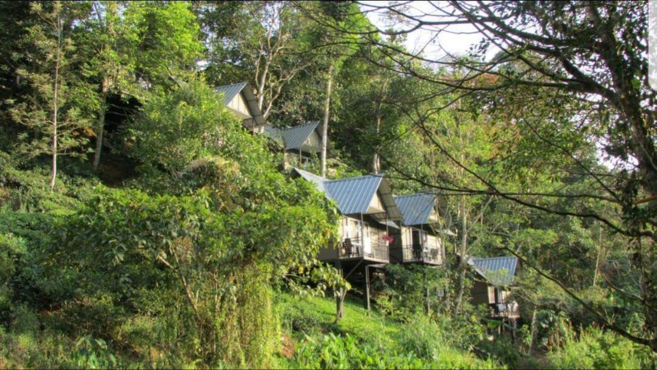 Moselberg Riverside Cottages Munnar Eksteriør billede