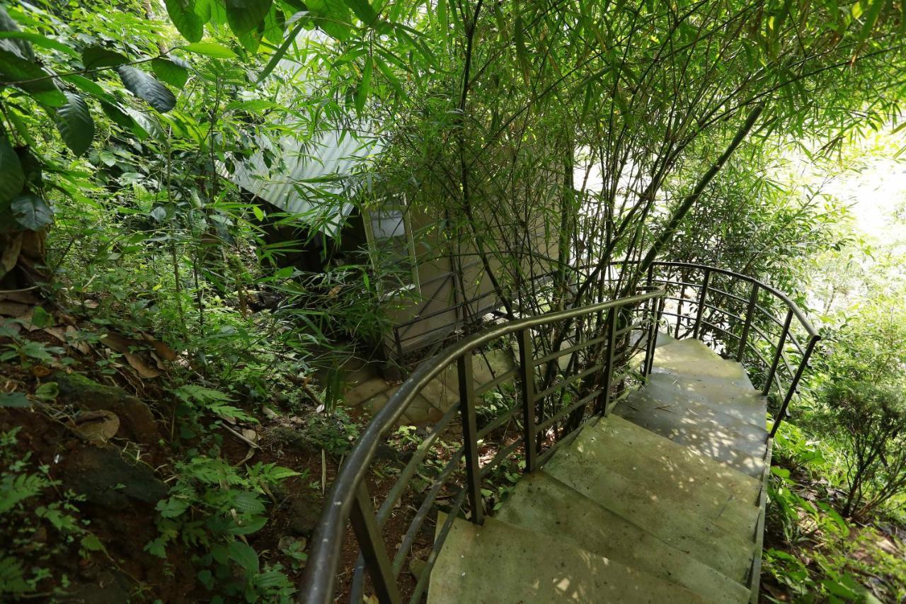 Moselberg Riverside Cottages Munnar Eksteriør billede